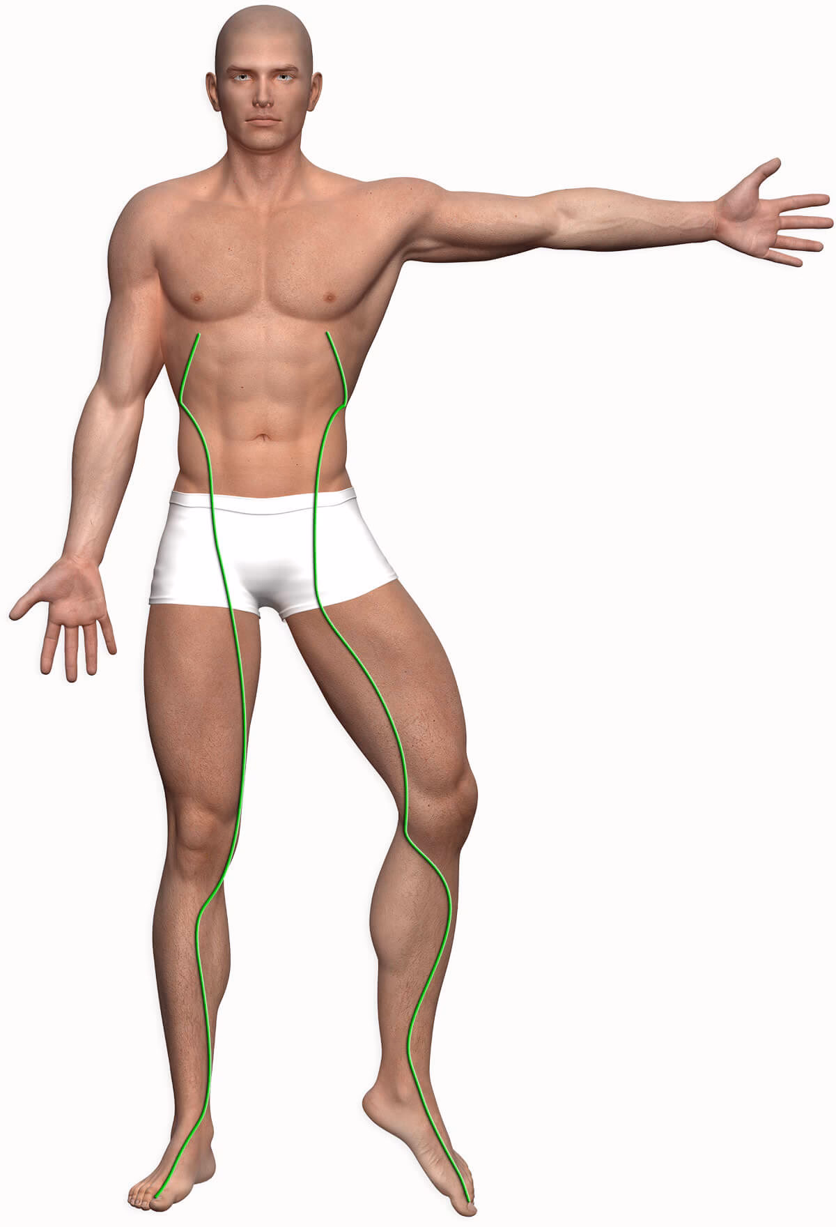 ¿Cuáles son los meridianos del hígado?