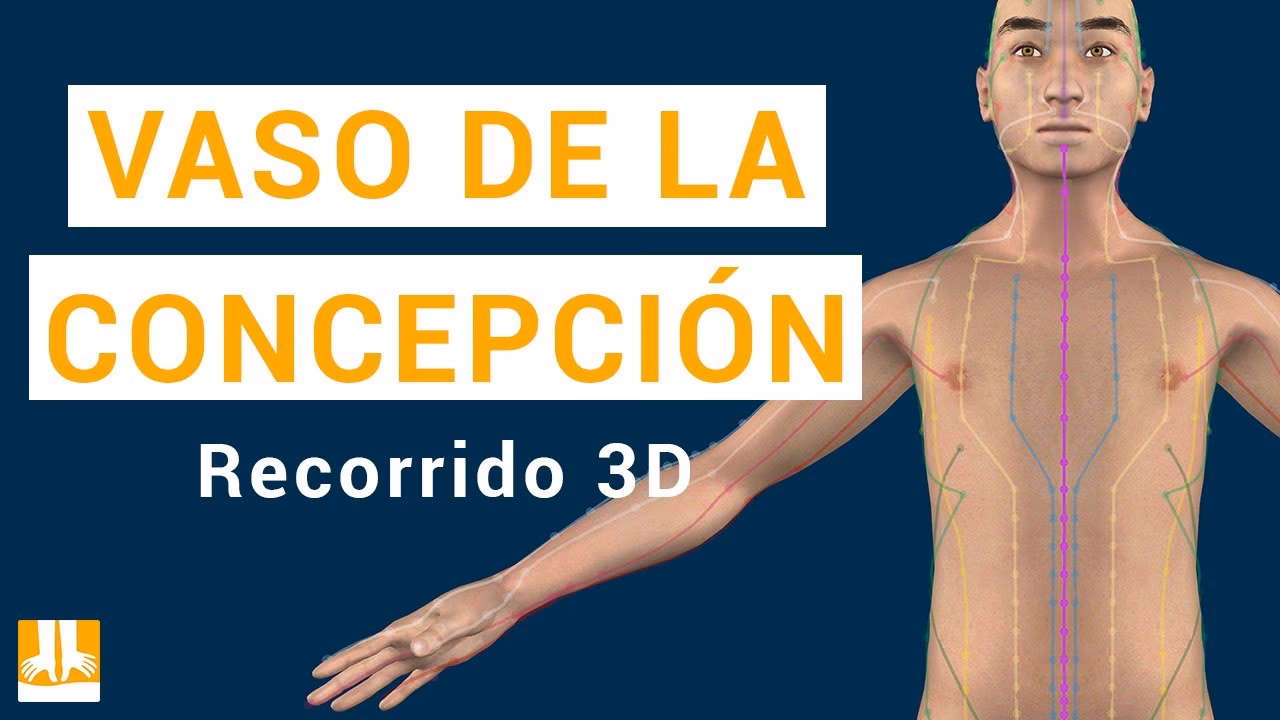 ¿Para qué se utiliza el punto de acupuntura Vaso Concepción 17?