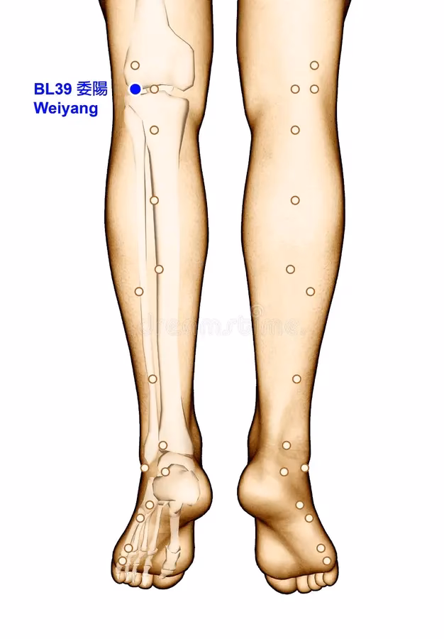 Will VA pay for acupuncture?