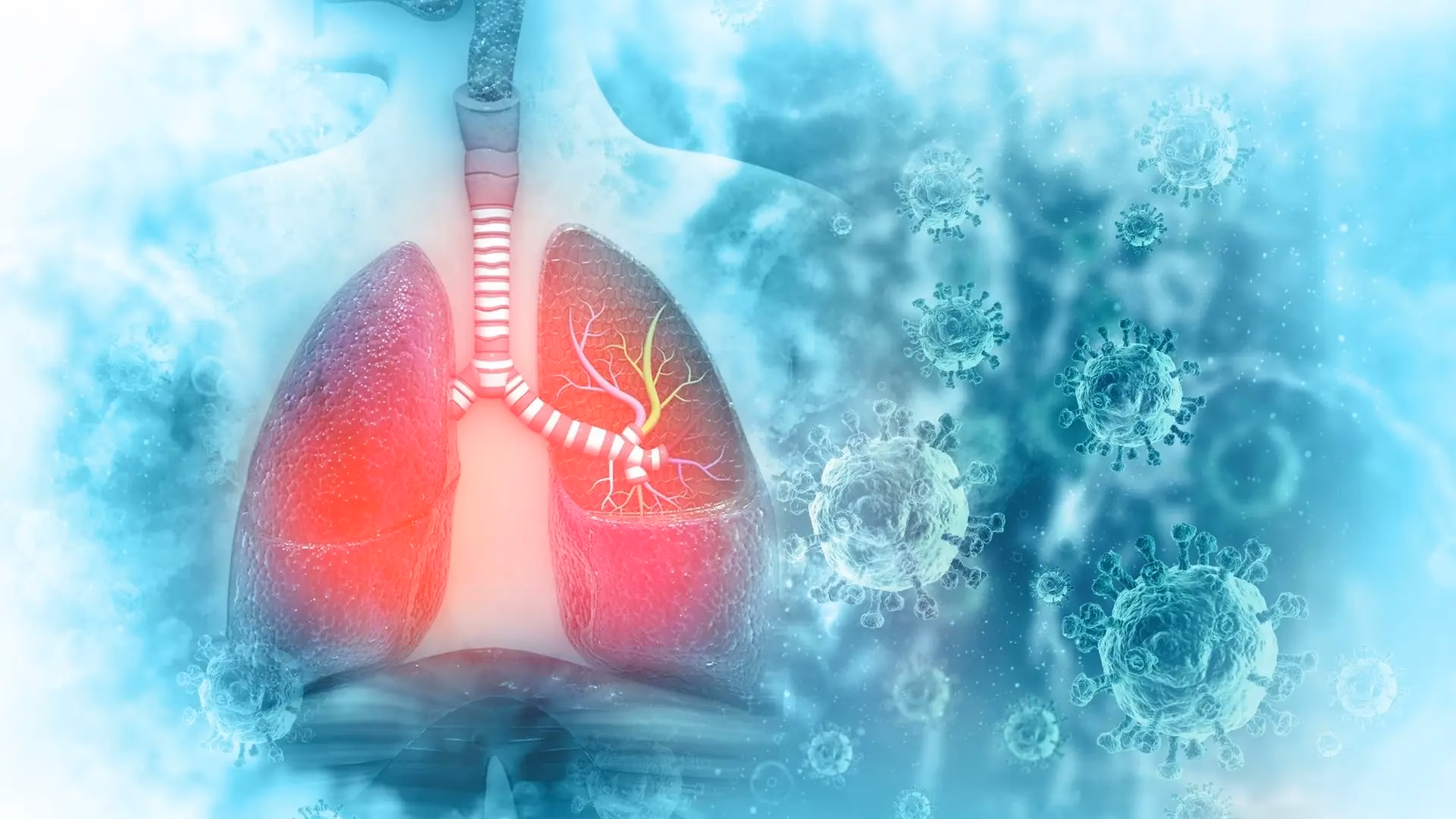 What is the Wei Qi in the lungs?