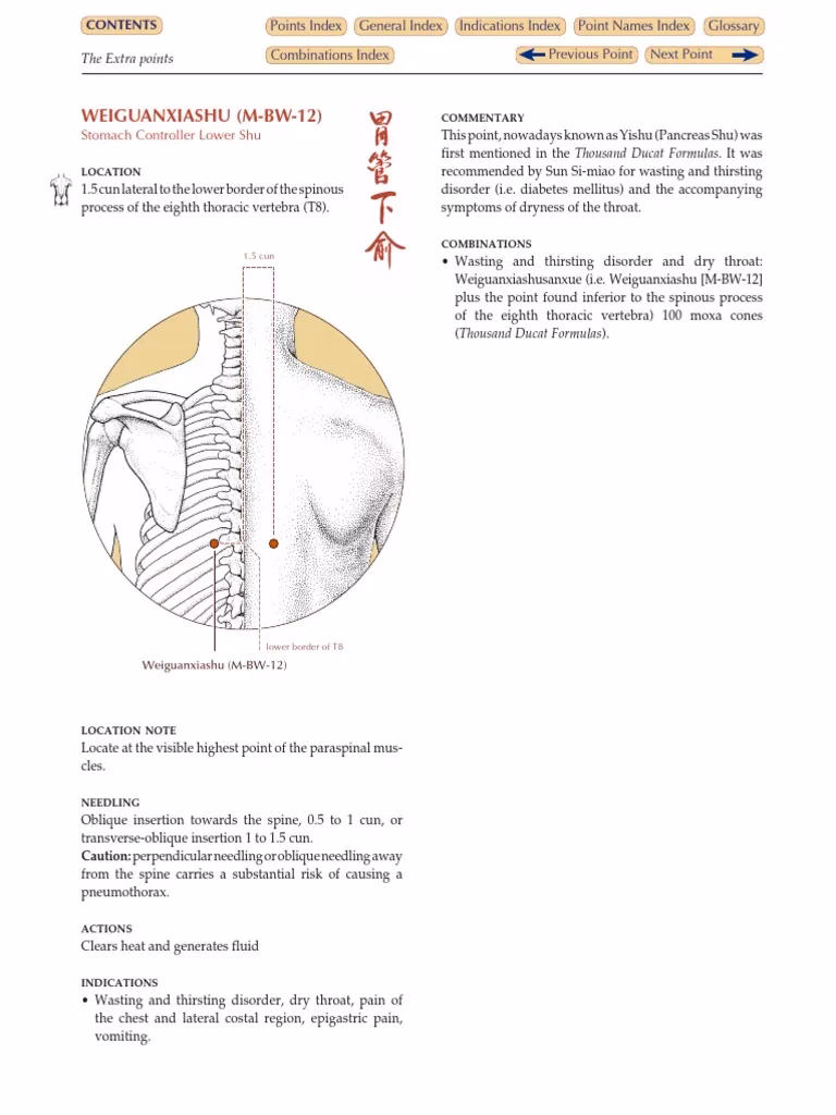 What is the Wei Guan Xia Shu acupuncture point?