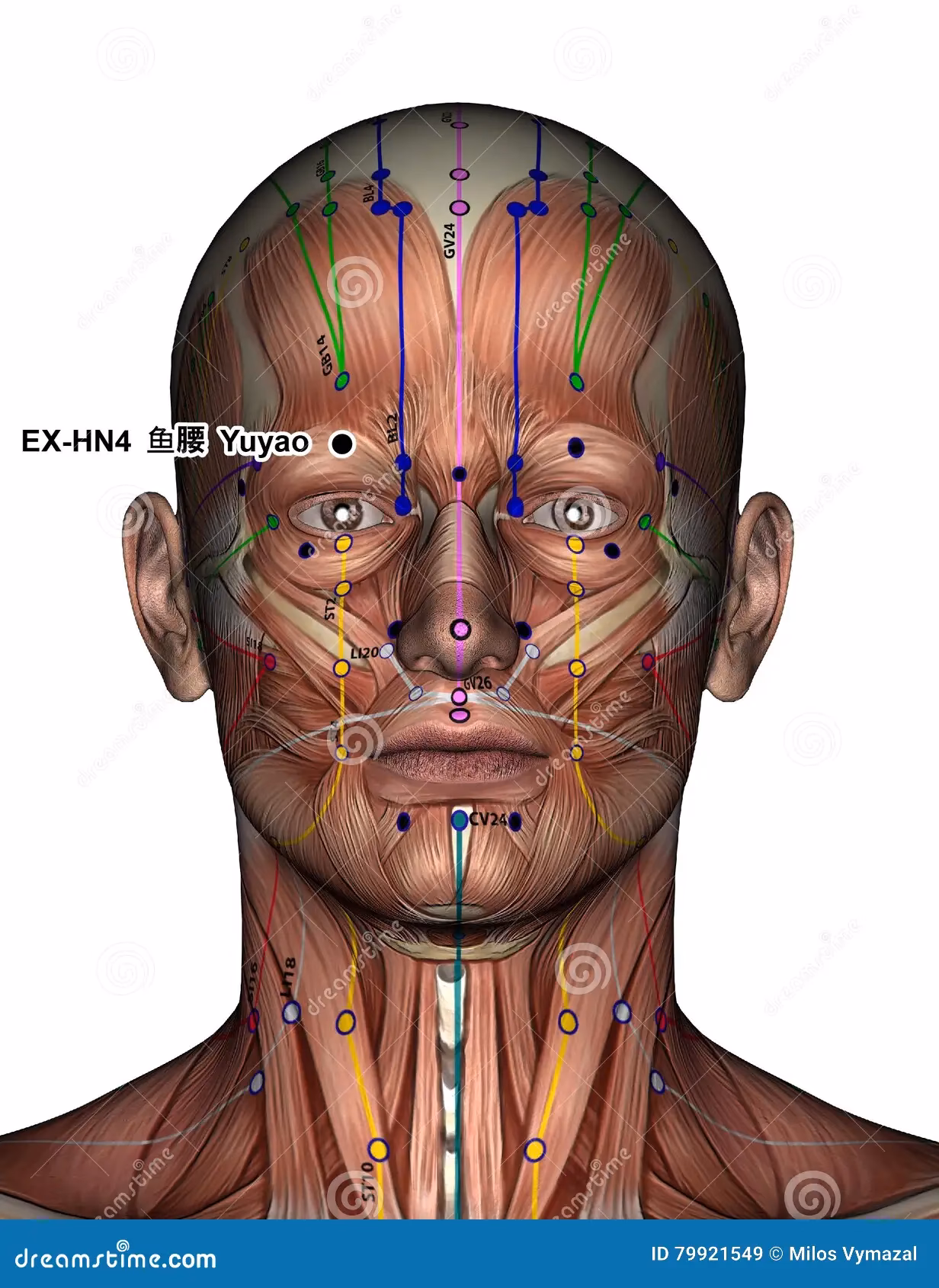 What is the Yu Yao acupressure point?